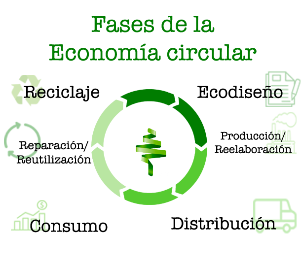 fases de la economía circular